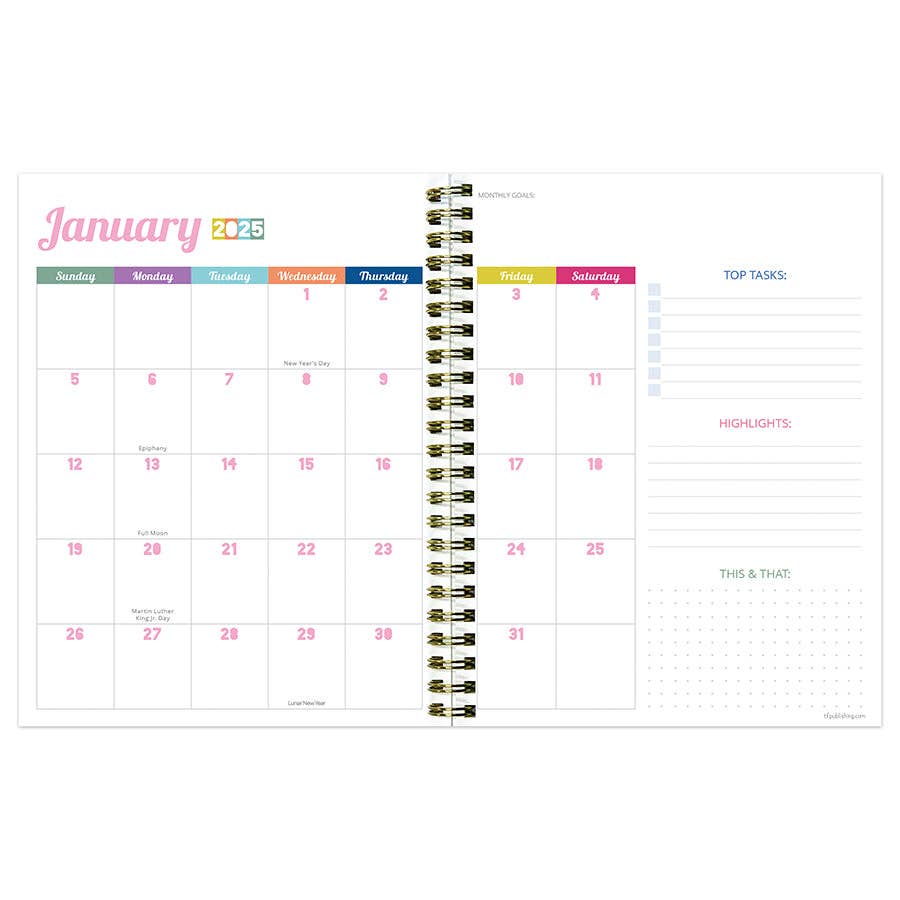 TF Publishing - Paper Goods - 2025 Malibu Stripes Medium Weekly Monthly Planner