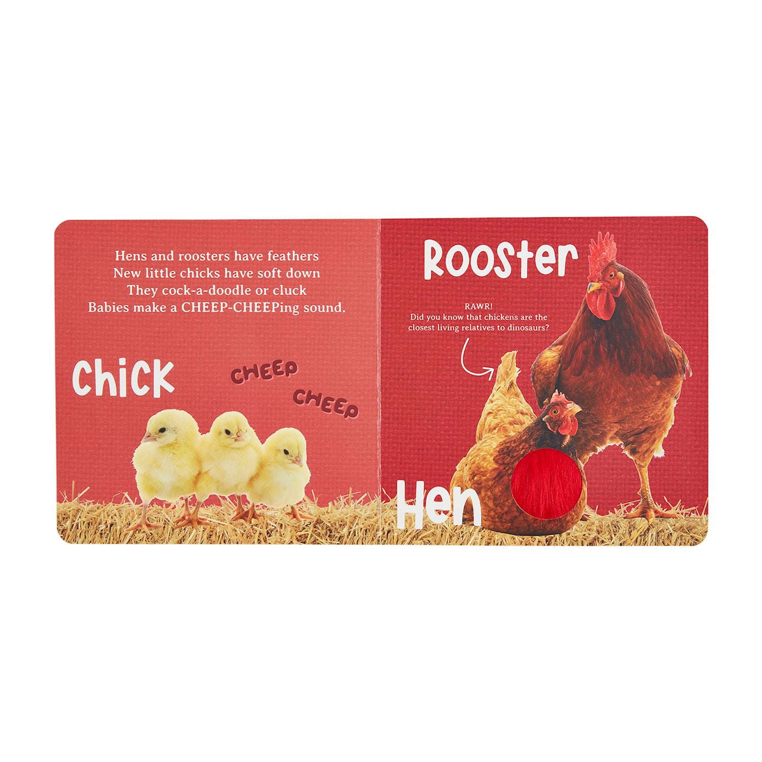 HEAR & FEEL FARM BOARD BOOK