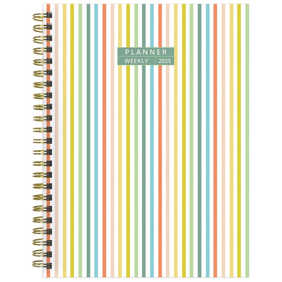 TF Publishing - Paper Goods - 2025 Malibu Stripes Medium Weekly Monthly Planner