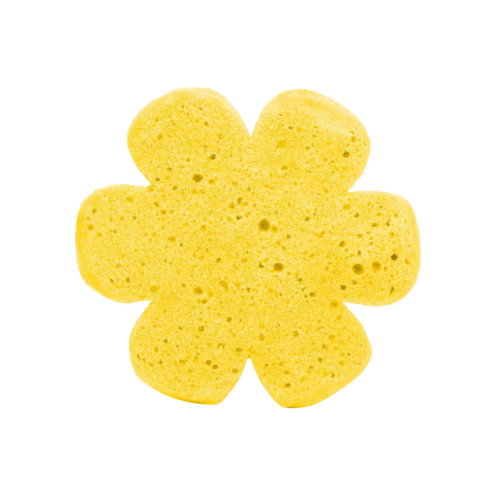 Cait + Co - Soap Infused Spongie-Fun and Fruity