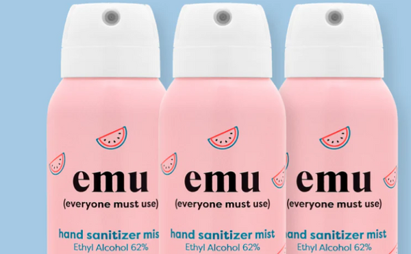 Hand sanitizer mist-2.2 Fl oz – Avenue 550