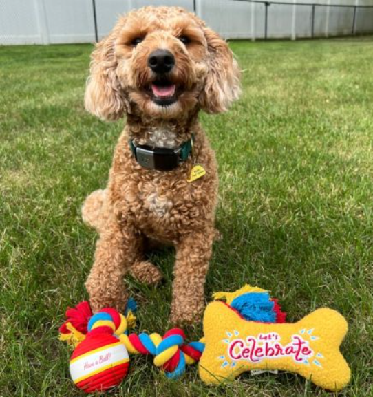 Let's Celebrate 3-piece box gift set