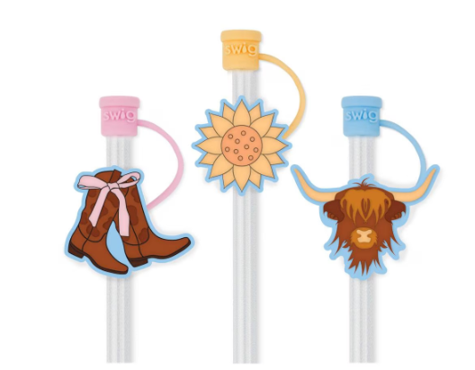 Cowgirl Coquette Straw Topper Set