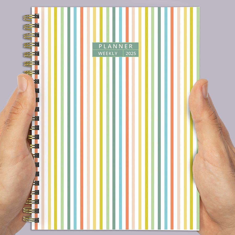 TF Publishing - Paper Goods - 2025 Malibu Stripes Medium Weekly Monthly Planner