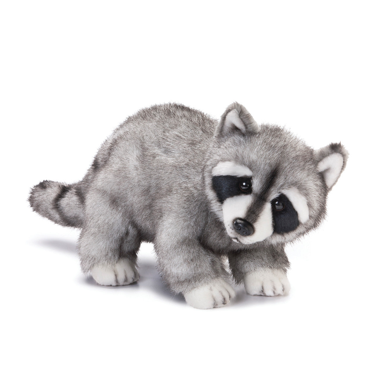 Raccoon Large