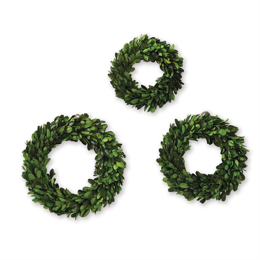 MINI BOXWOOD PRESERVED WREATHS