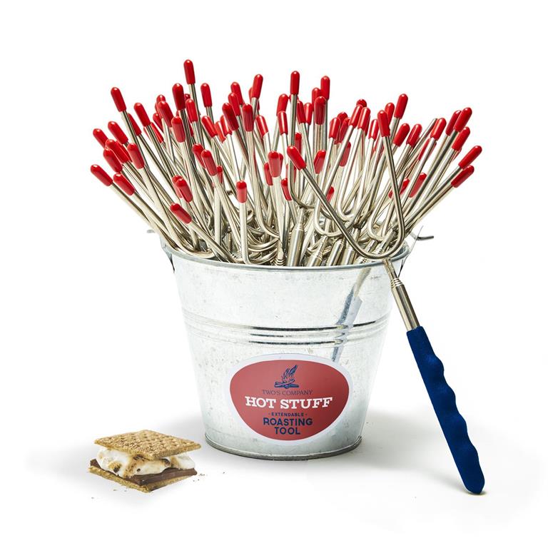 Extendable Roasting Tool