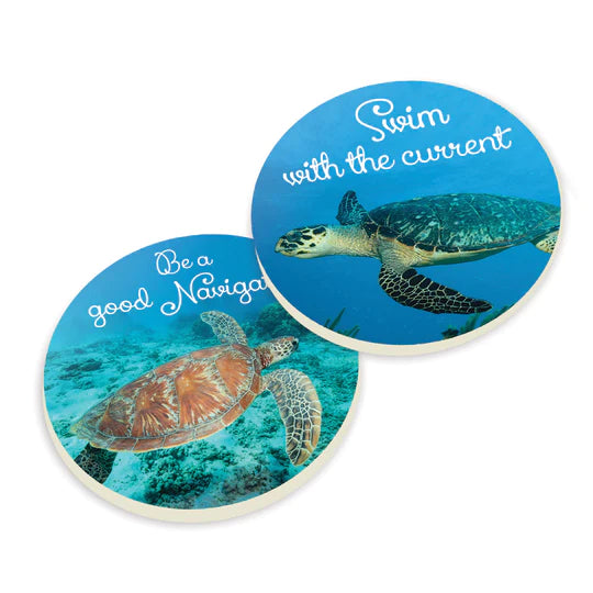 SEA TURTLE CAR COASTER 2-PACK