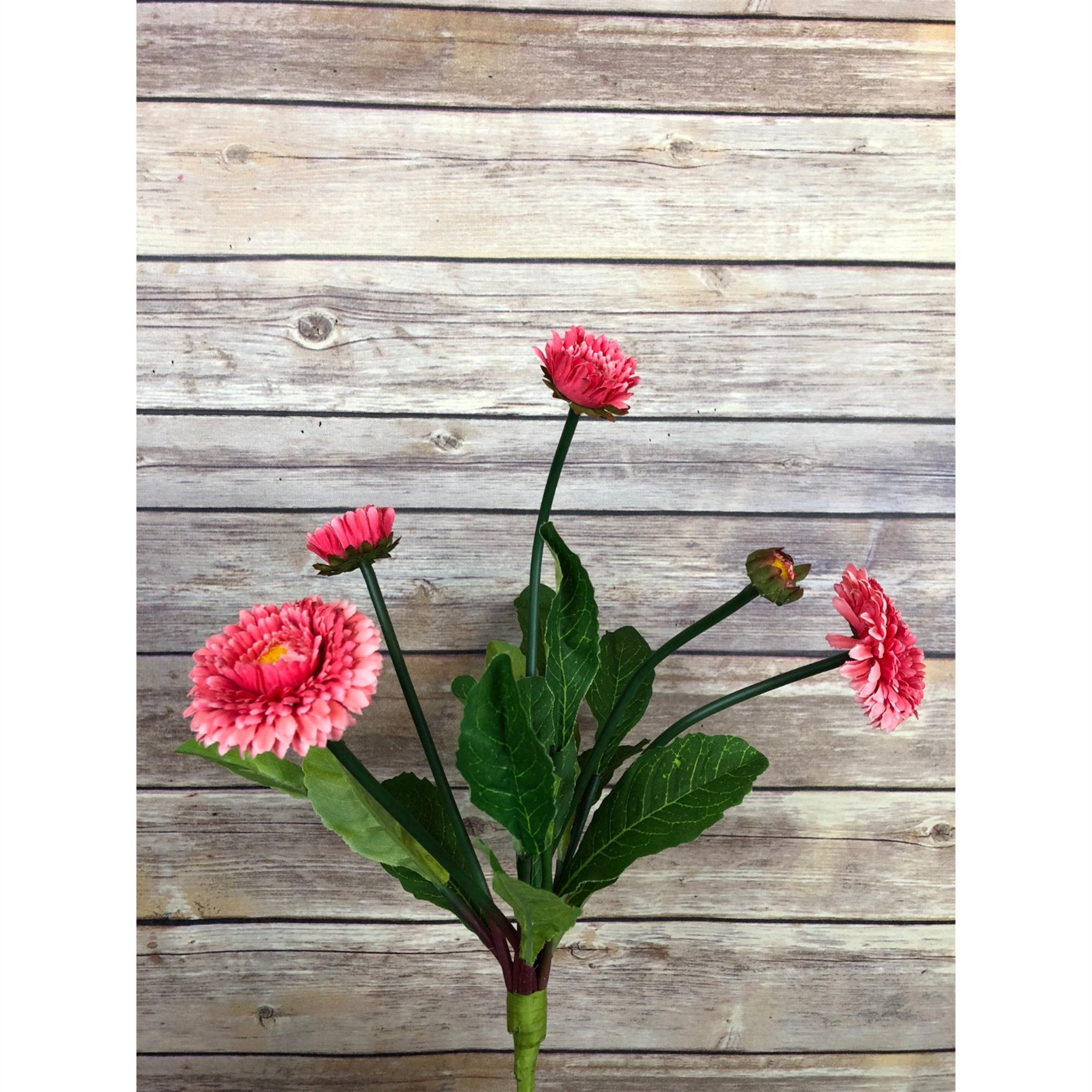 15" English Daisy Bush-Hot Pink