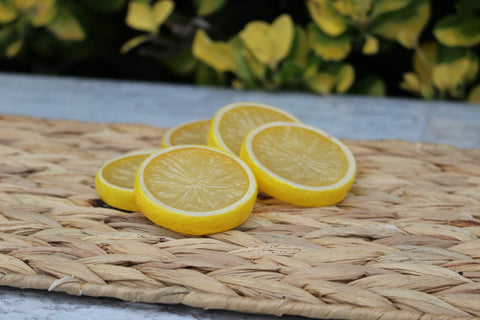 Lemon Slices-Faux Food