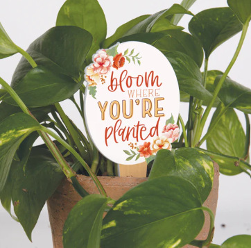 BLOOM WHERE YOU'RE PLANTED PLANT PAL GARDEN SIGN