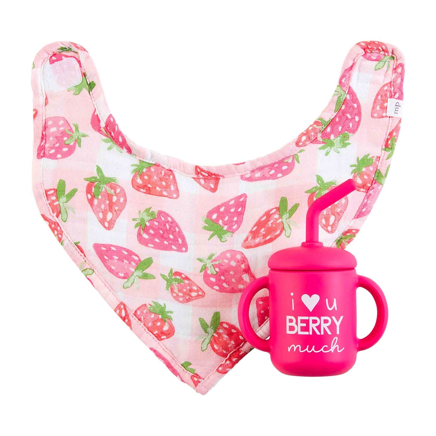 BERRY SILICONE CUP & BIB SET