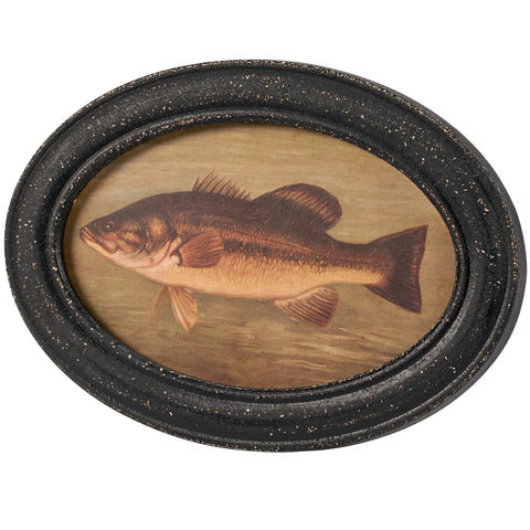 Bass Hanging Decor