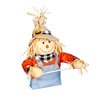Scarecrow Fence Friend