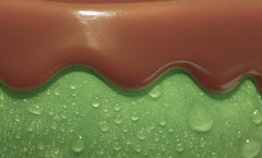 Caramel Apple | 12 oz Classic Statement Candle
