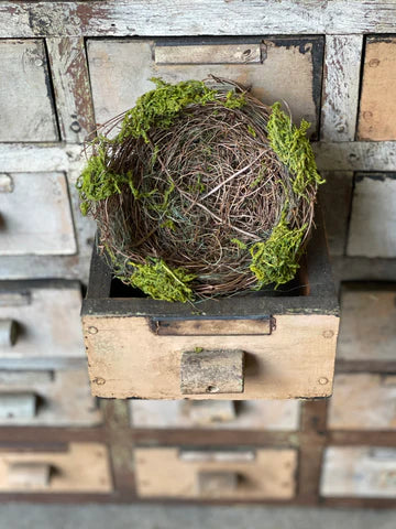 Moss Twined Birdnest | 4.5"