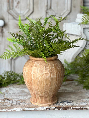 Fairhope Fern Bush | 20"