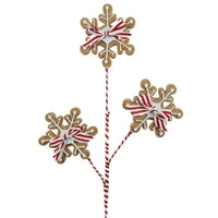 26” Snowflake Cookie Spray
