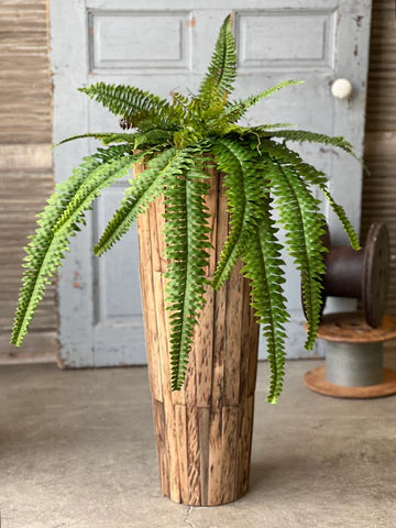 Niagara Fern Hanging | 36"