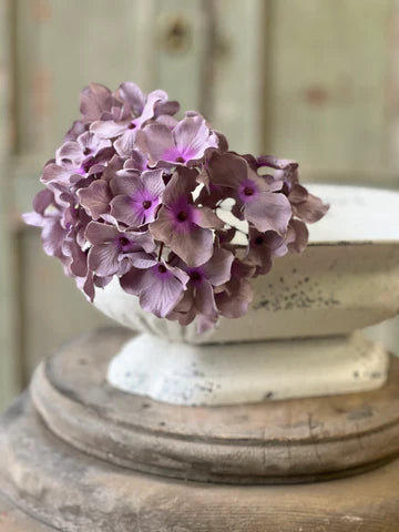 Monogram Hydrangea | 8" | Misty