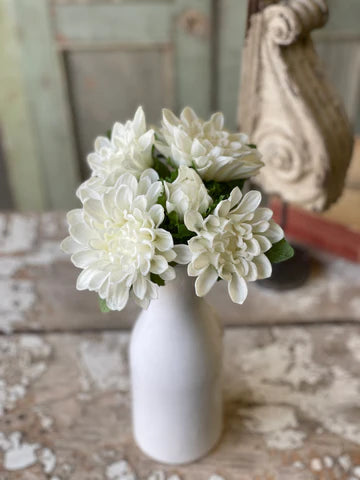 Chrysanthemum Bundle | 10" | White