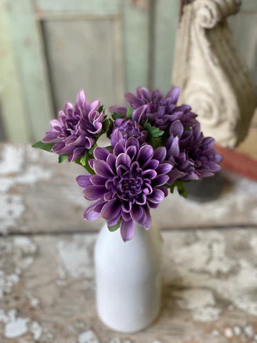 Chrysanthemum Bundle | 10" | Purple
