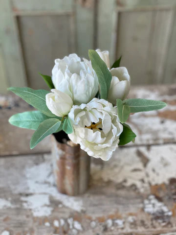 Grand Opening Tulip | 12" | White