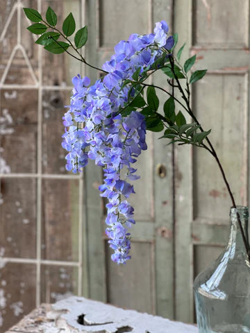 Waterfall Wisteria | 36" | Majestic