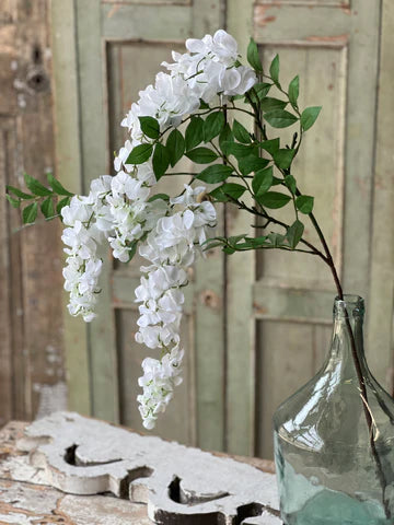 Waterfall Wisteria | 36" | Moonbeam |