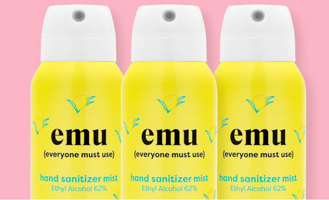 Hand sanitizer mist-2.2 Fl oz