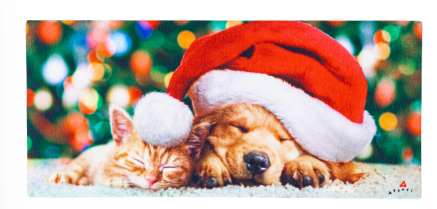 Santa Puppy and Kitten Sassafras Switch Mat