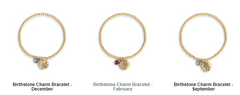 Birthstone Charm Bracelet