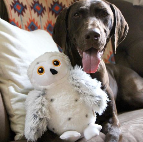 Animated Snow Owl Dog Toy