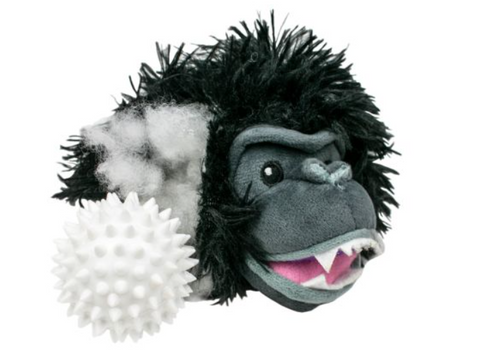 2 in 1 Fetch Ball Dog Toy