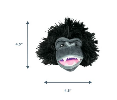 2 in 1 Fetch Ball Dog Toy