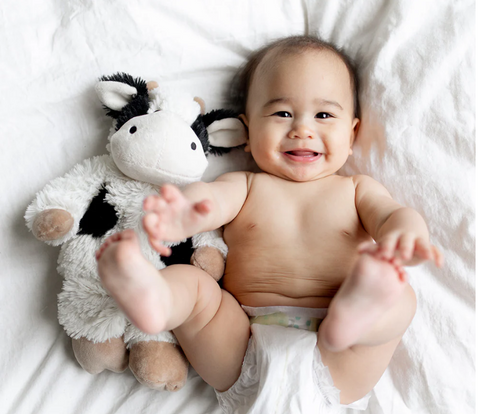 Black and White Cow Warmies