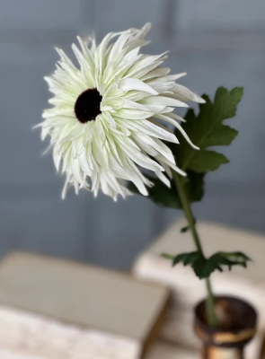 Starshot Daisy | 24" | White