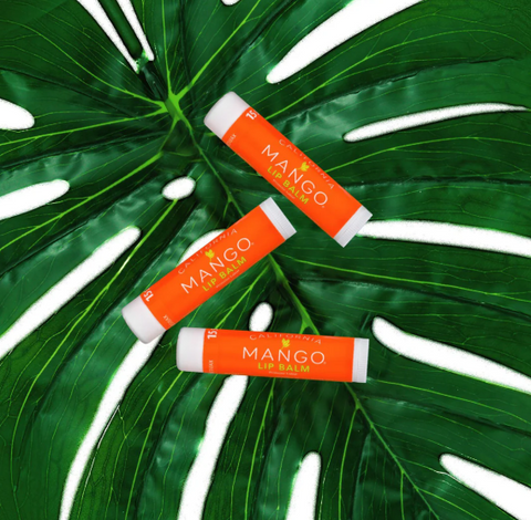 It's the Balm! 3-Pack Lip Balm