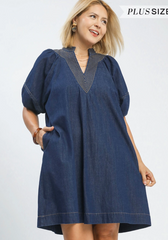 Daydream Denim Dress