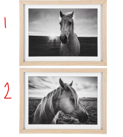 Framed Black & White Horse Photography Wall Decor- 2 STYLES