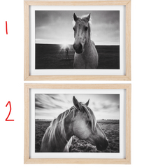 Framed Black & White Horse Photography Wall Decor- 2 STYLES