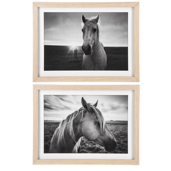 Framed Black & White Horse Photography Wall Decor- 2 STYLES