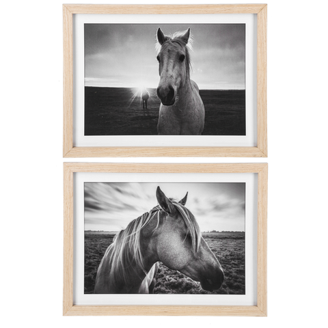 Framed Black & White Horse Photography Wall Decor- 2 STYLES