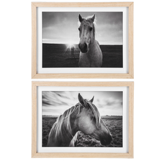 Framed Black & White Horse Photography Wall Decor- 2 STYLES