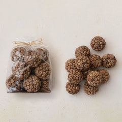 3" Round Dried Natural Peepal Pod Orbs in Bag (Contains 12 Pieces) (Each One Will Vary)