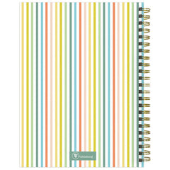 TF Publishing - Paper Goods - 2025 Malibu Stripes Medium Weekly Monthly Planner