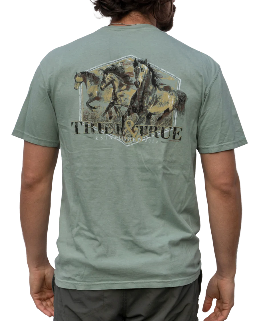 FREEDOM HORSES SHIRT- Tried and True Brand