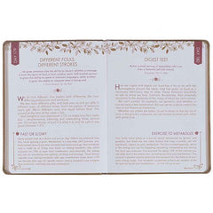 Apples Of Gold 366 Devotions