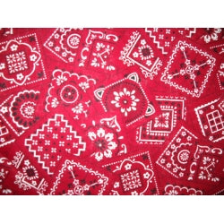 A Hot Dog on a Leash-Red Bandana