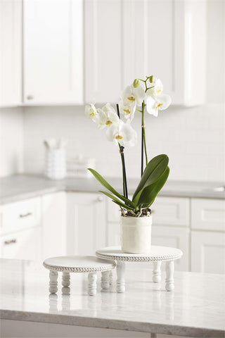 White Beaded Pedestal Trays